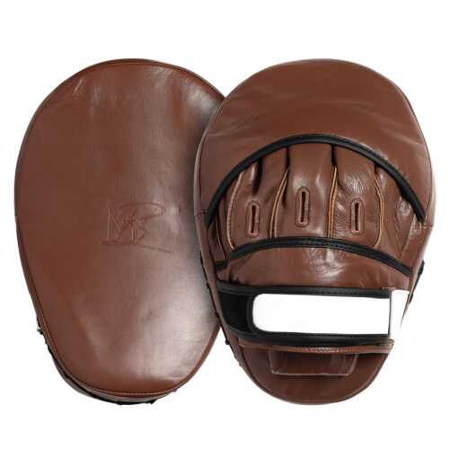 Image 1 - Boxing Mits